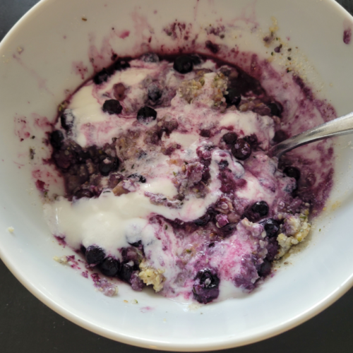 keto blueberry oatmeal